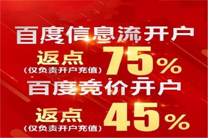 百度优化推广案例：打造行业领先品牌
